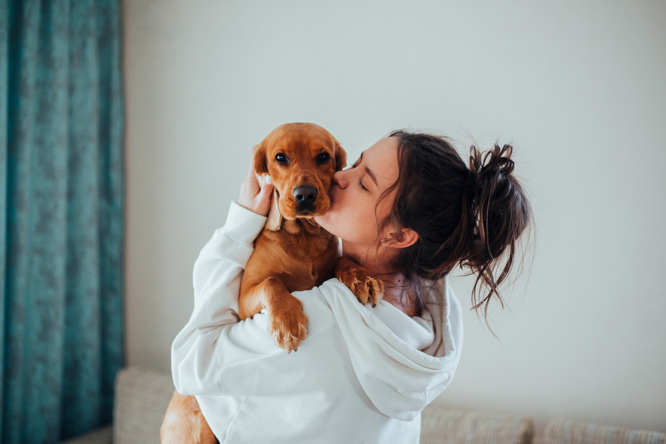 Natürliche Wurmkur für Hunde: Gesundheit aus der Natur