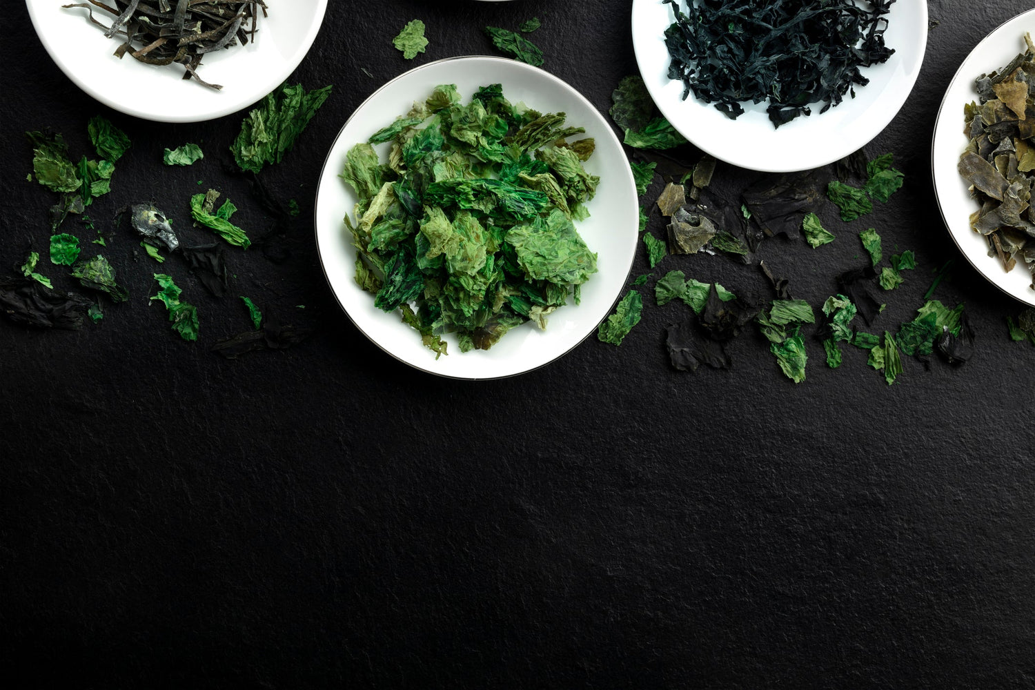 Kelp für Hunde – Natürliche Jodquelle für Stoffwechsel, Fell & Immunsystem