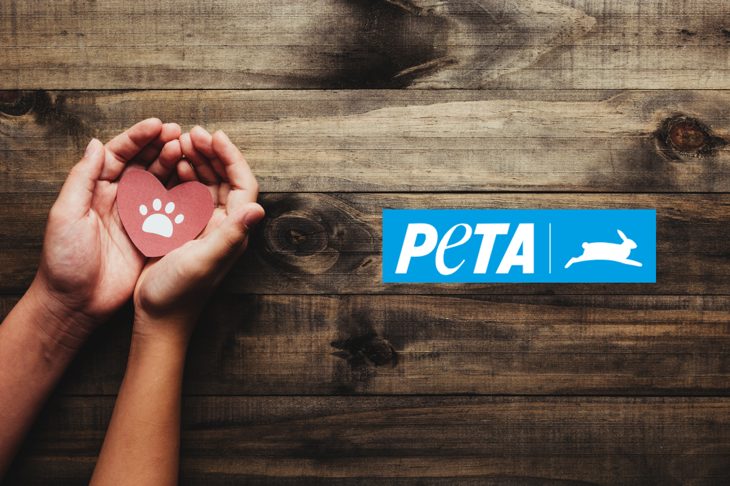 Gemeinsam für den Tierschutz: LEO LÖWENHERZ spendet 1200€ an PETA