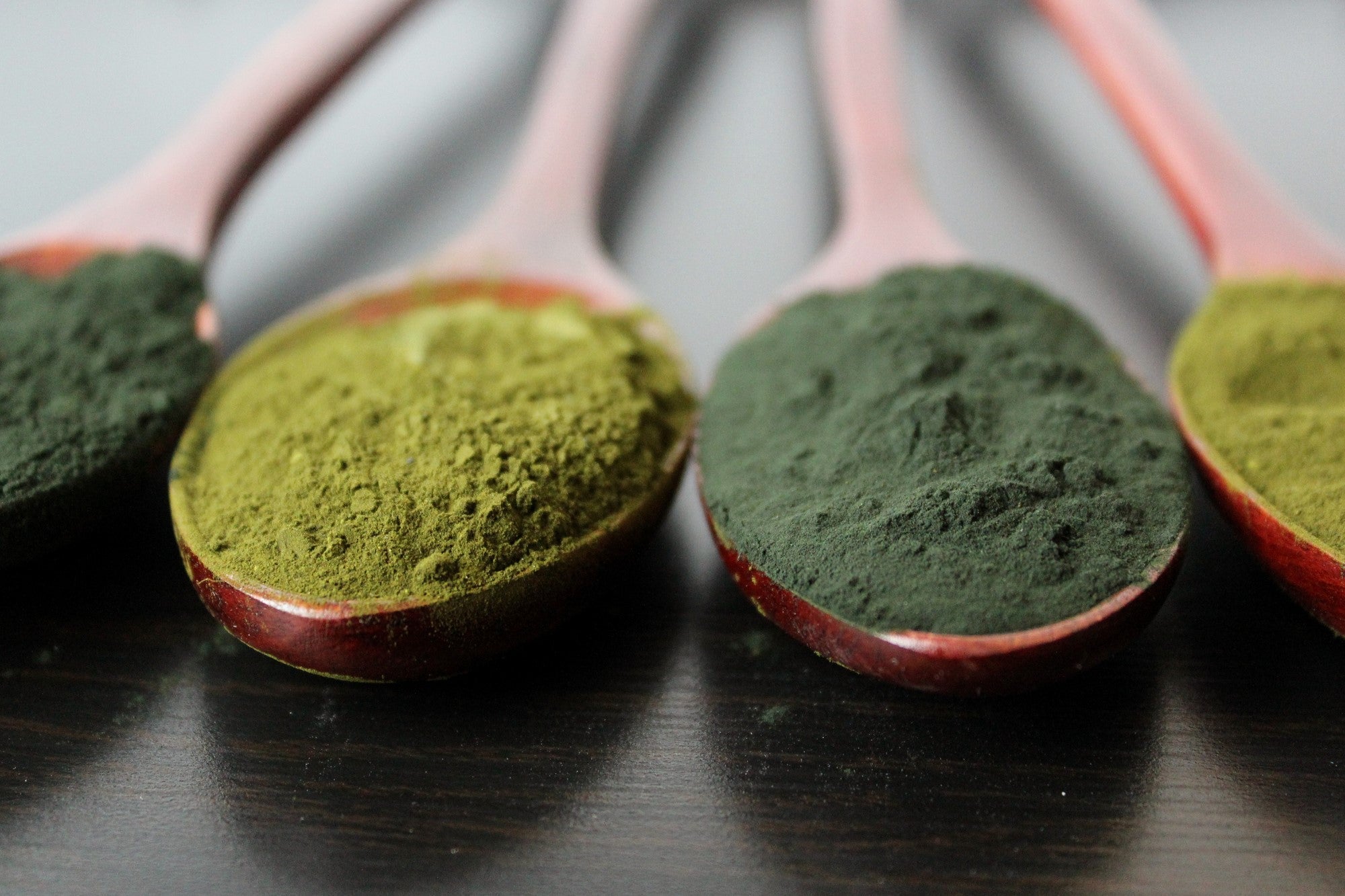 Alge Chlorella: 5 wichtige Anwendungsgebiete für Deinen Hund