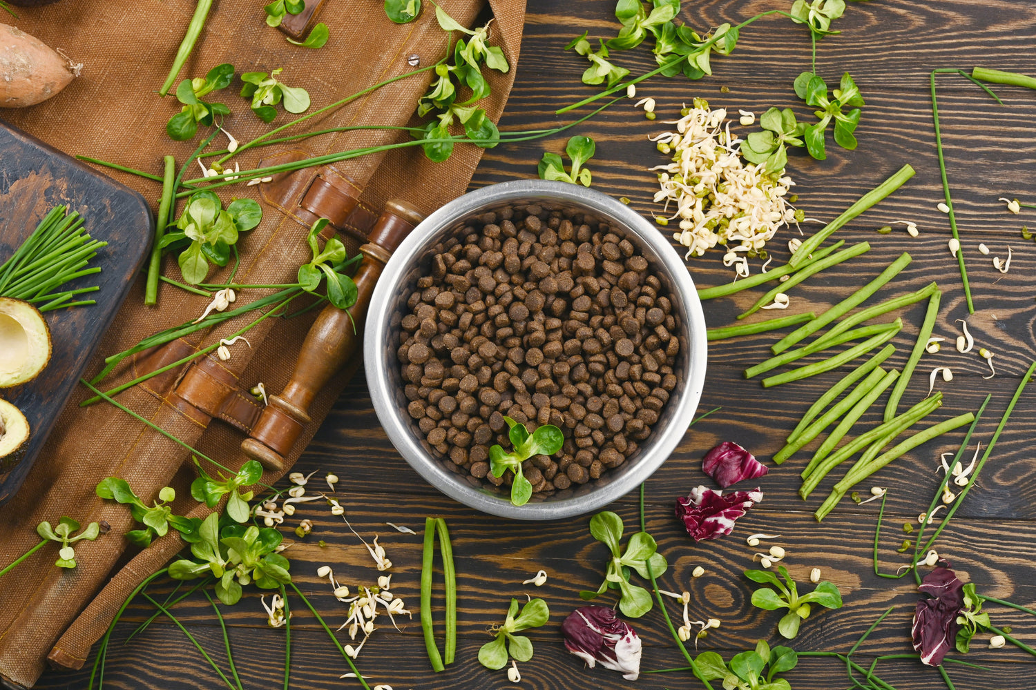 Ein Blick auf die Inhaltsstoffe im Hundefutter