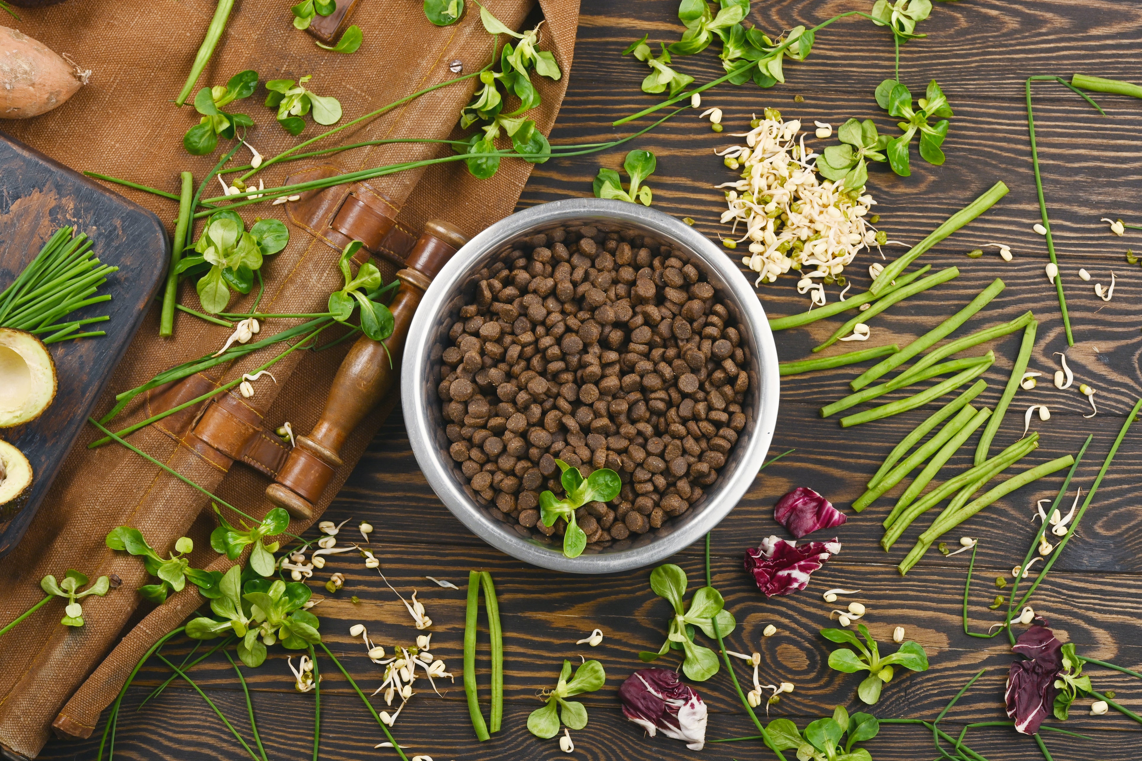 Ein Blick auf die Inhaltsstoffe im Hundefutter