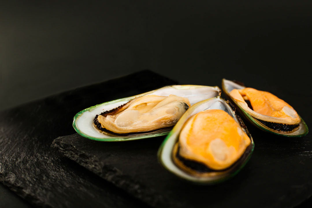 Grünlippmuschel für Hunde: Natürliche Hilfe für Gelenke & Knochen