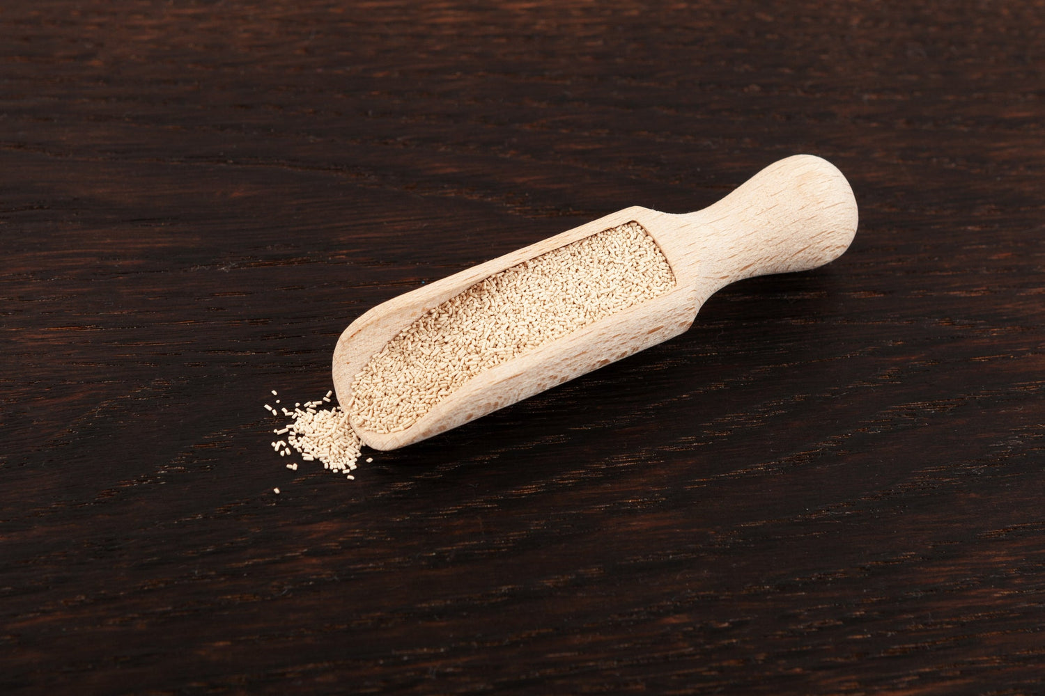 Bierhefe für Hunde – Warum Du nicht darauf verzichten solltest