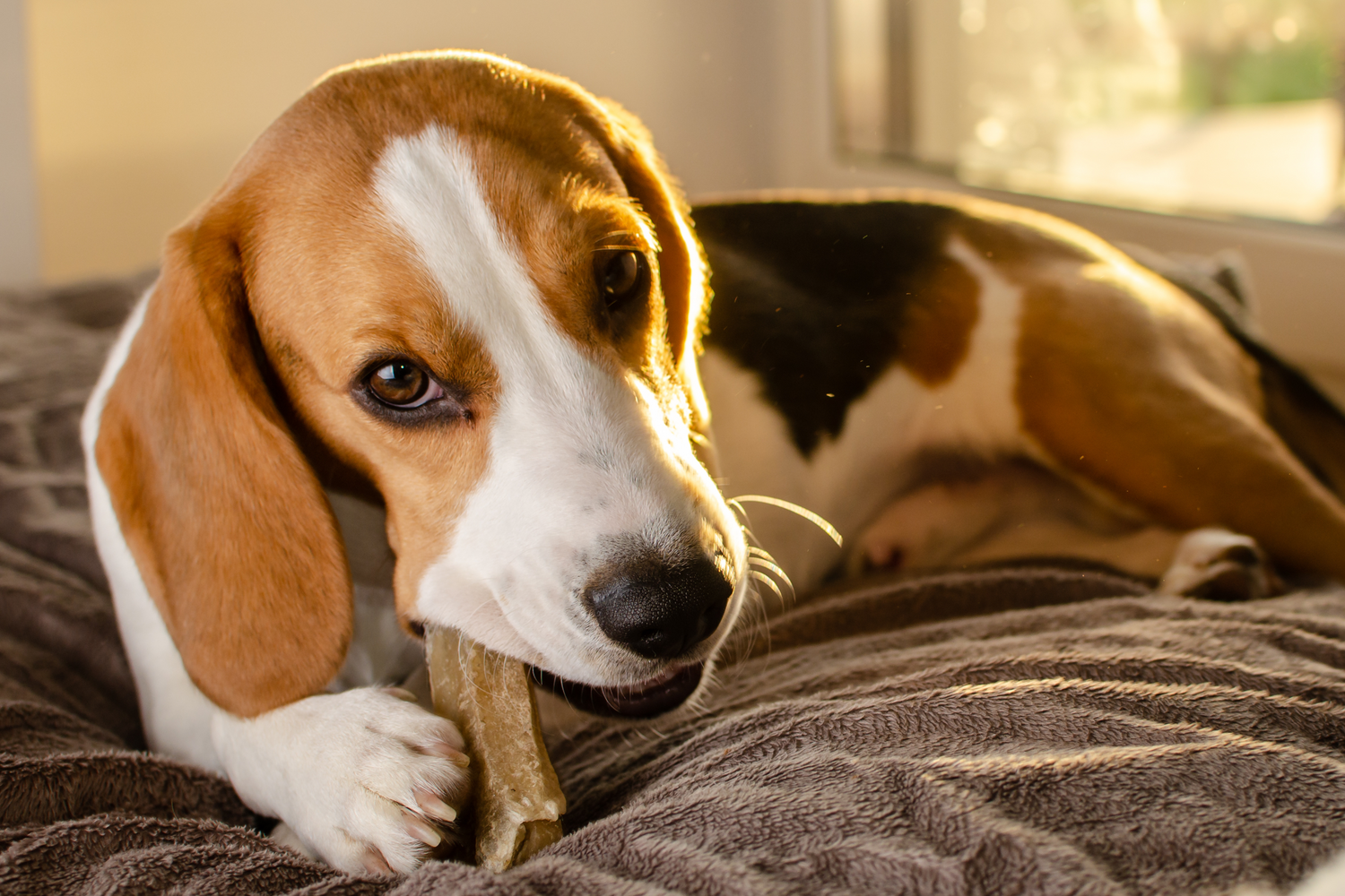 China-Kauartikel und ihre Risiken: Warum Du auf deutsche Qualität setzen solltest