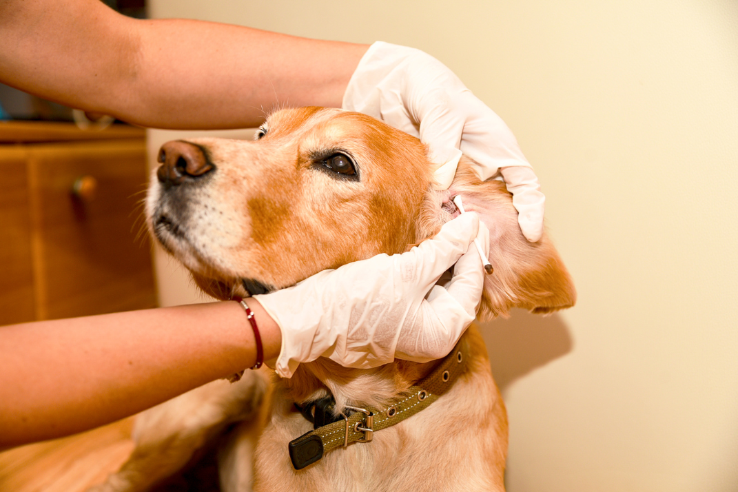 Gastbeitrag von Susanne Seuffert: Von A wie Augenpflege bis Z wie Zähneputzen