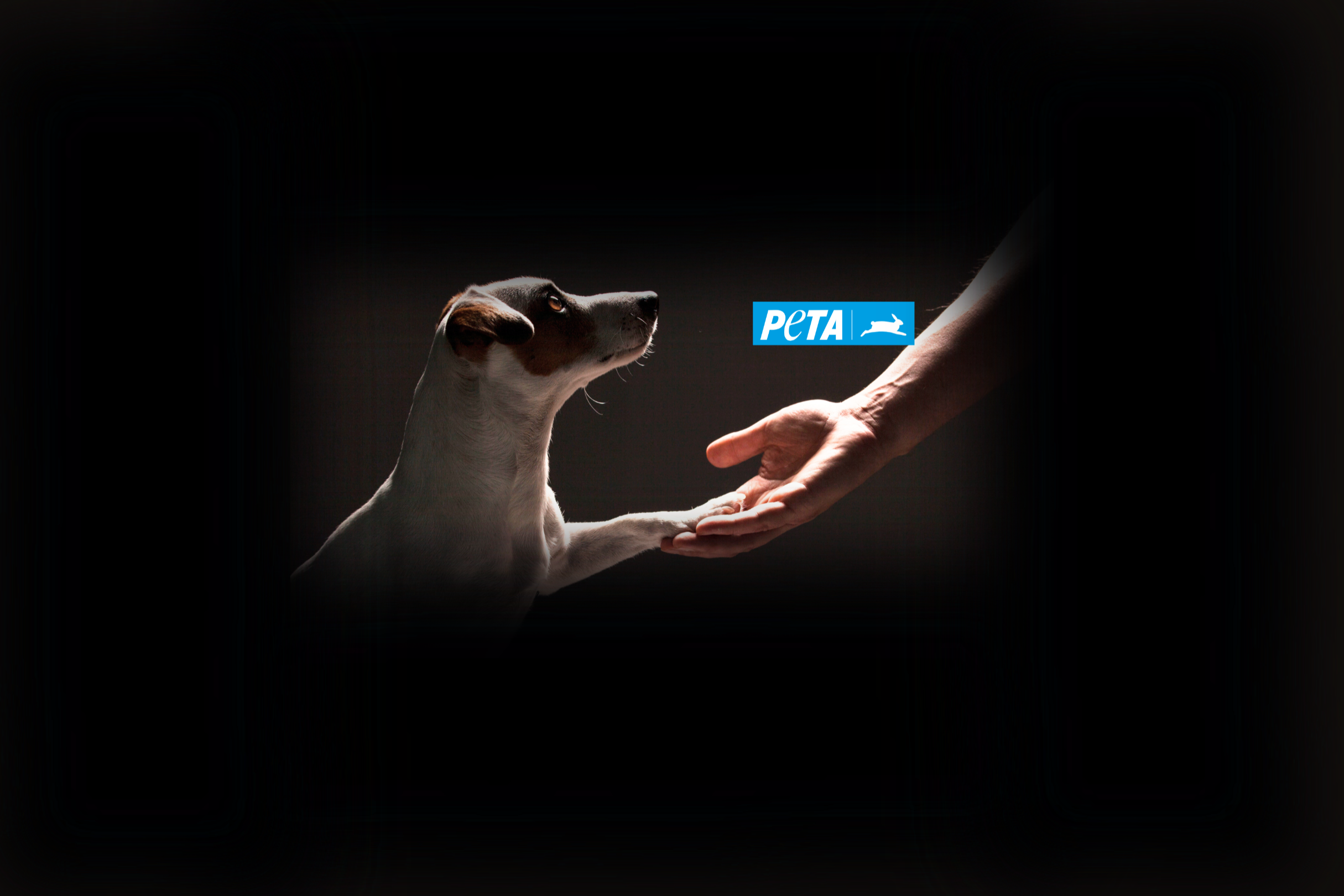 Stellungnahme zu den Vorfällen in der Hundepension Isarpfoten in München