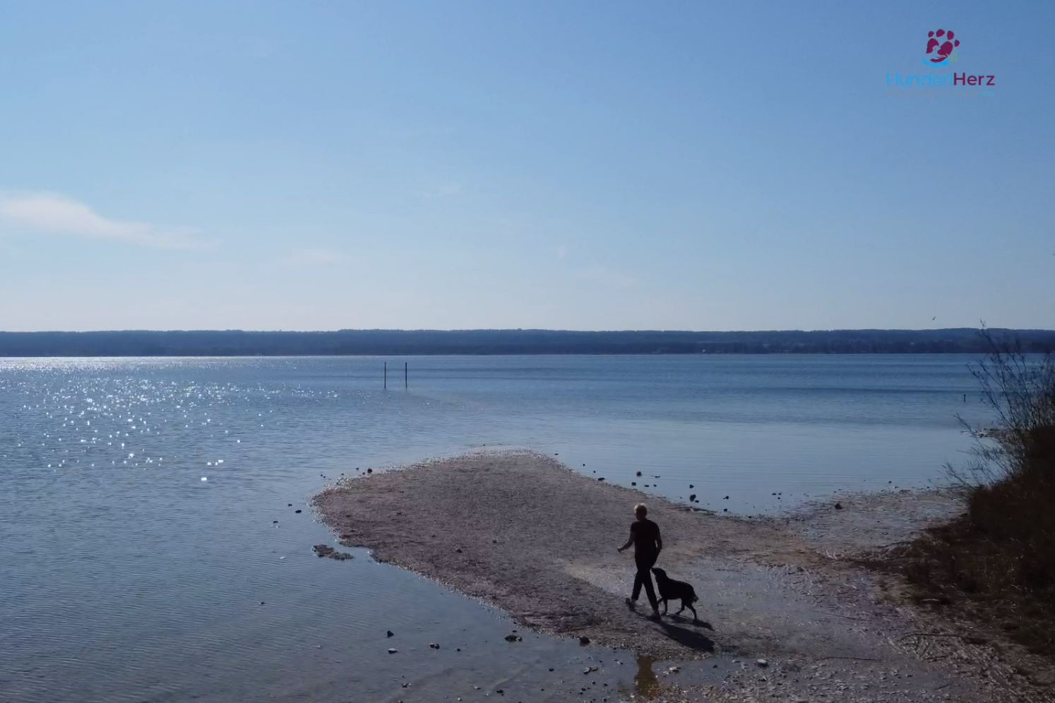 Gastbeitrag von Petra Herz: Was das „Bälle- und Stöckchenwerfen“ mit dem Jagdverhalten zu tun hat