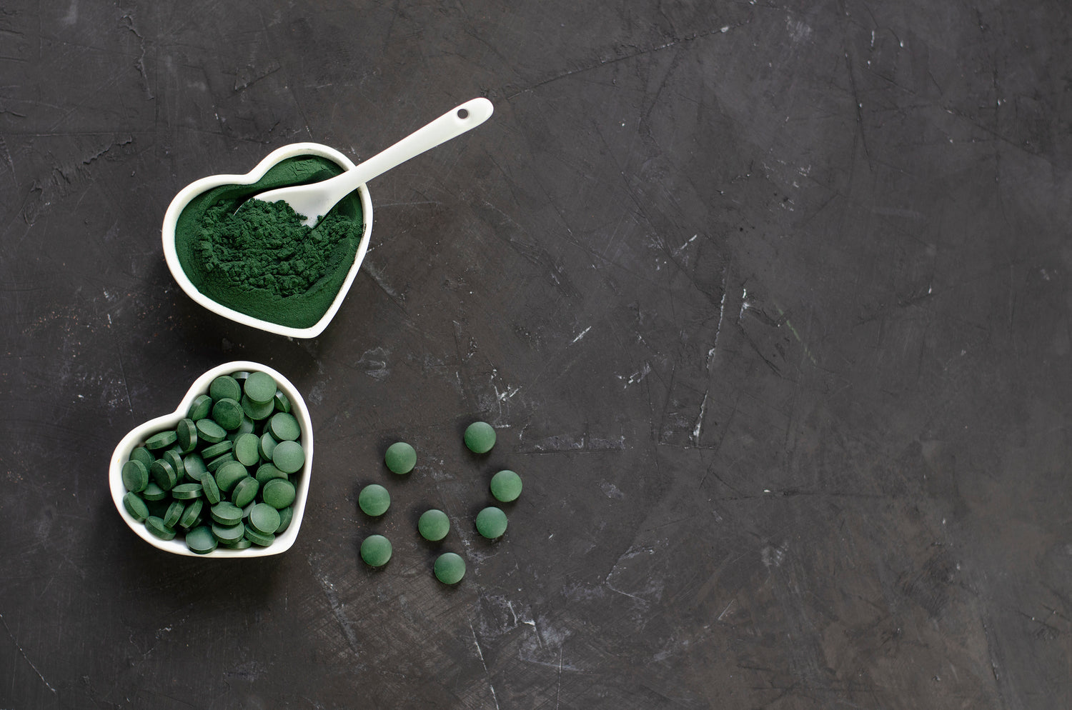 Spirulina für Hunde: Kleiner Organismus mit großer Wirkung