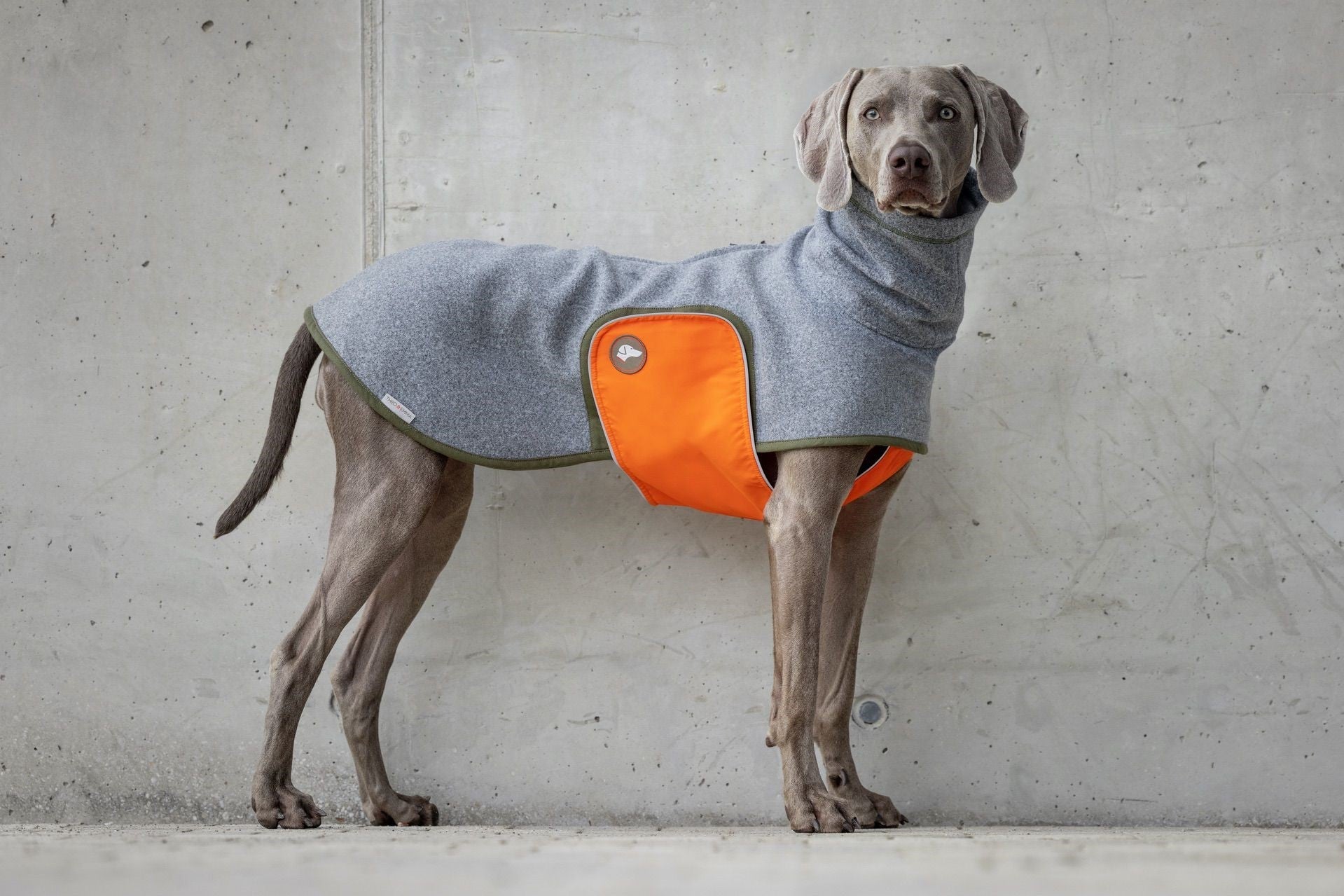 Hundemantel