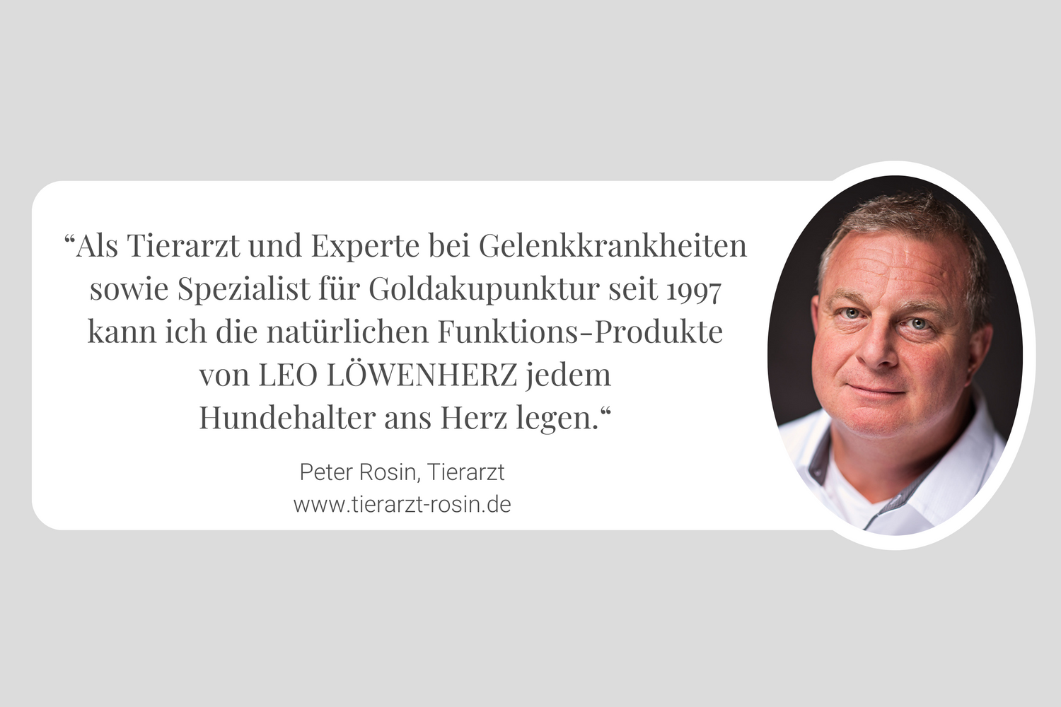 Goldakupunktur bei HD: Unsere Erfahrung mit Tierarzt Peter Rosin