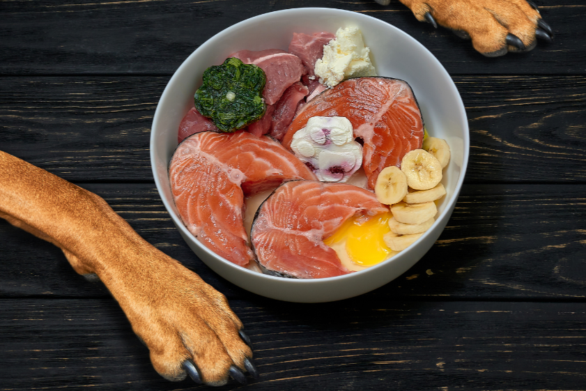 Was ist eigentlich BARF?