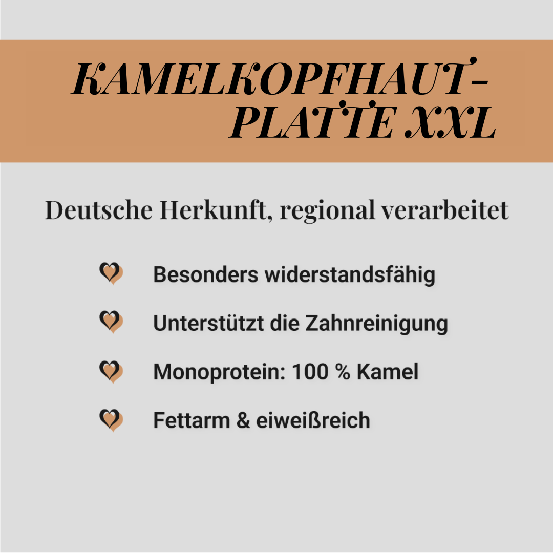 Kamelkopfhaut-Platte XXL
