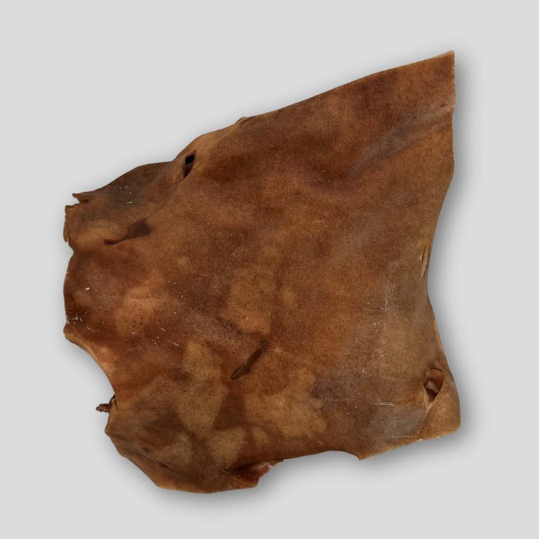 Kamelkopfhaut-Platte XXL