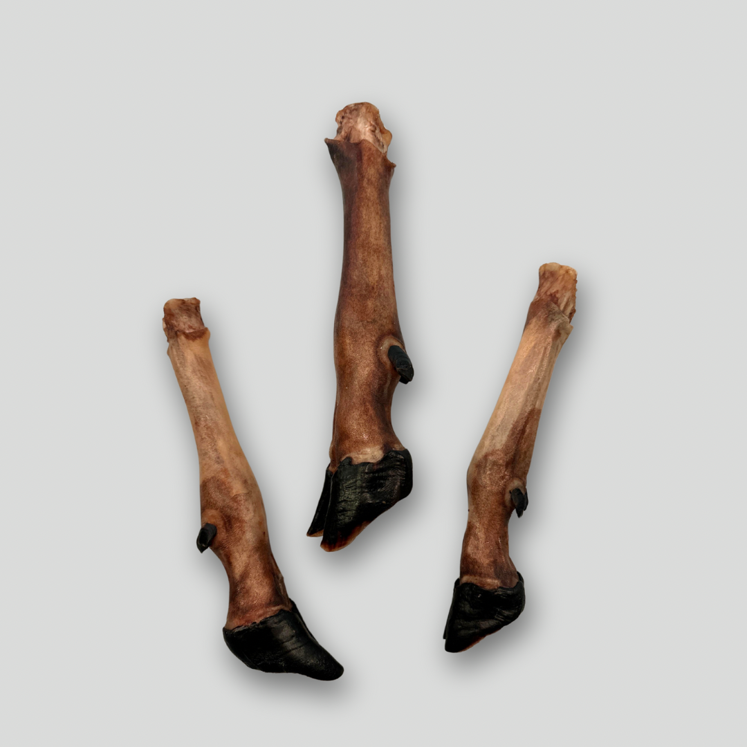 Ziegenfüße natur, 5 Stück