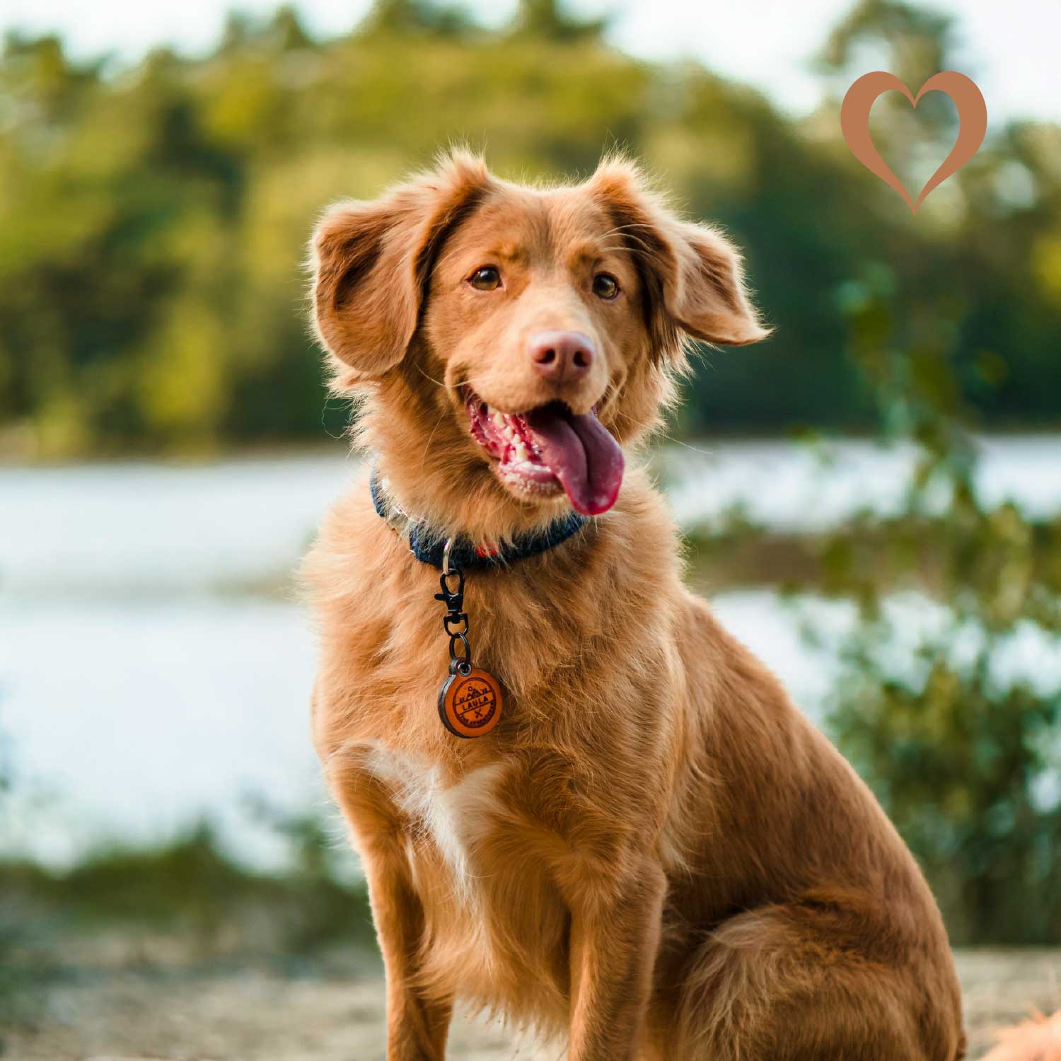 Straußen-Magen, 500g