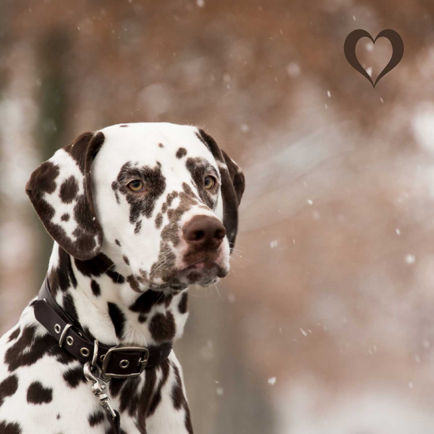 Fleischstreifen Reh, 500g