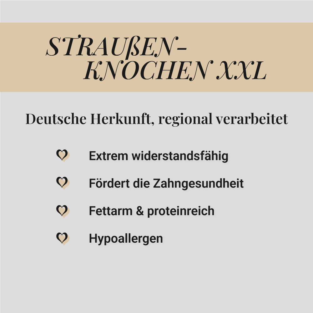 Straußen-Knochen XXL