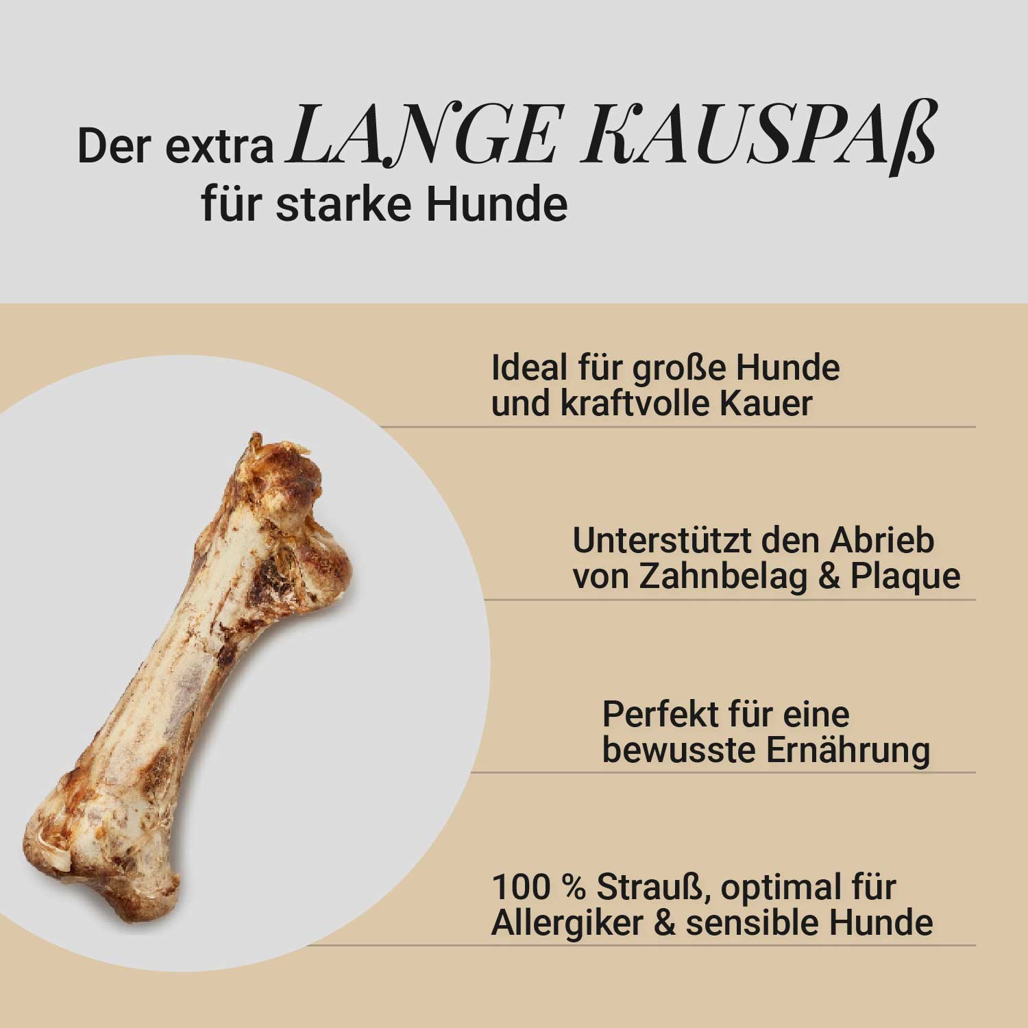 Straußen-Knochen XXL