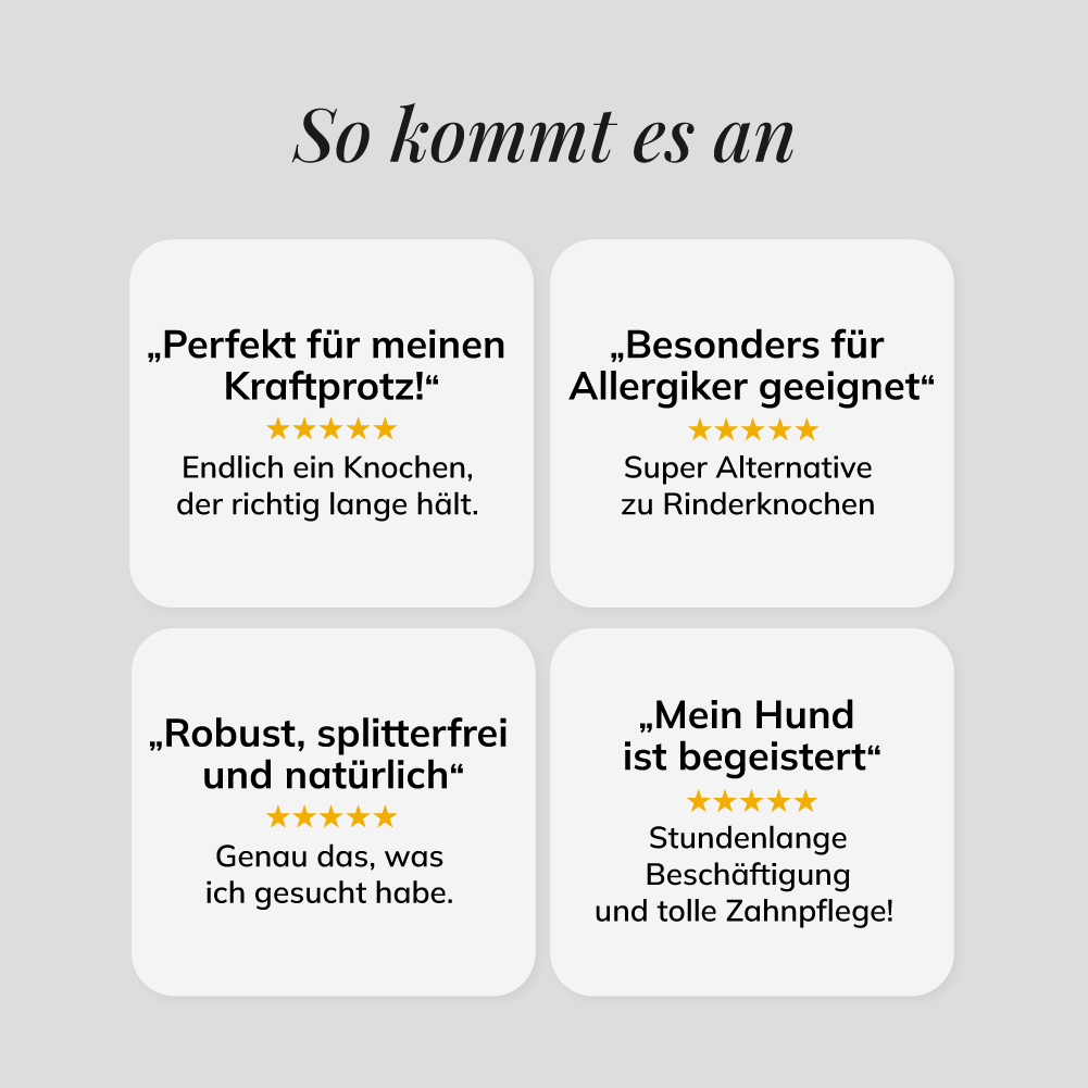 Straußen-Knochen XXL