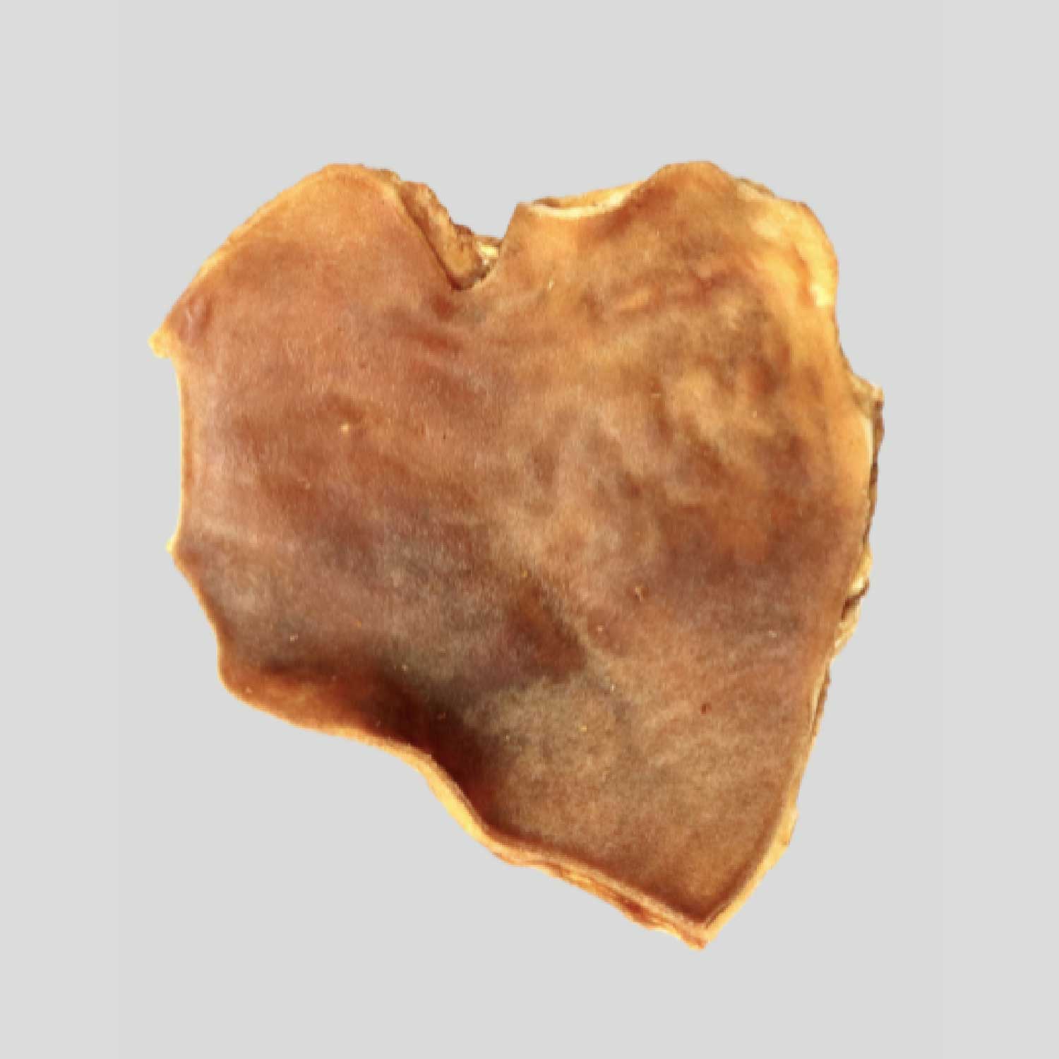 Rinderkopfhaut-Platte XXL