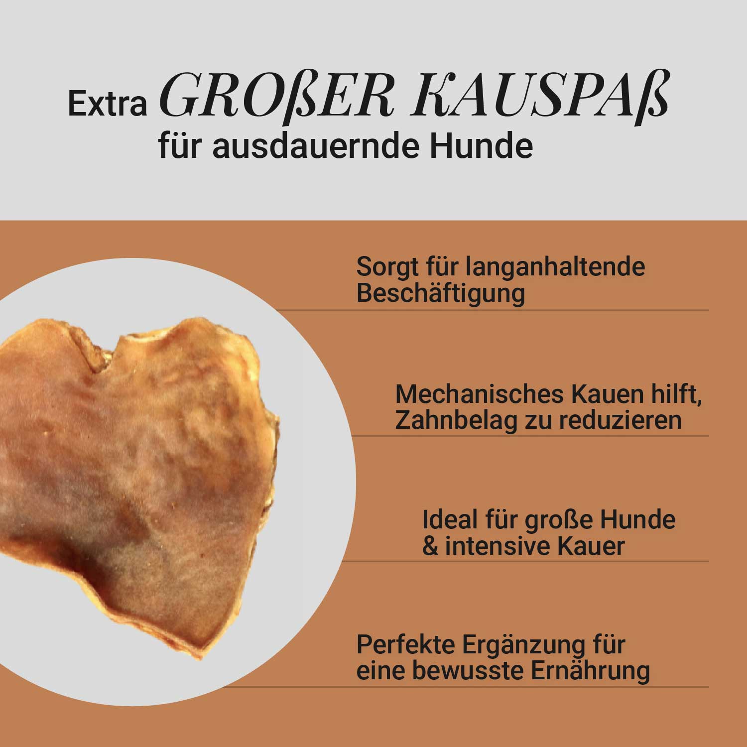 Rinderkopfhaut-Platte XXL