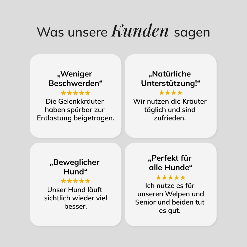Gelenkkräuter, 100g