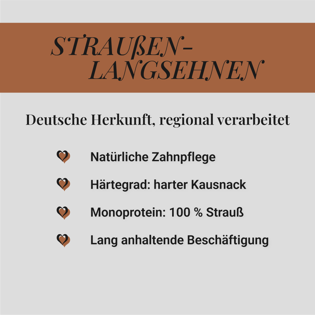 Straußen-Langsehnen, 3 Stück