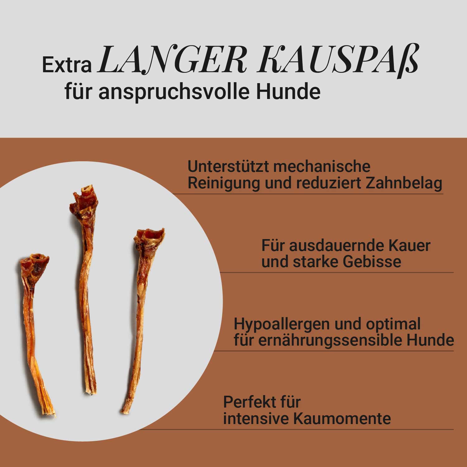 Straußen-Langsehnen, 3 Stück