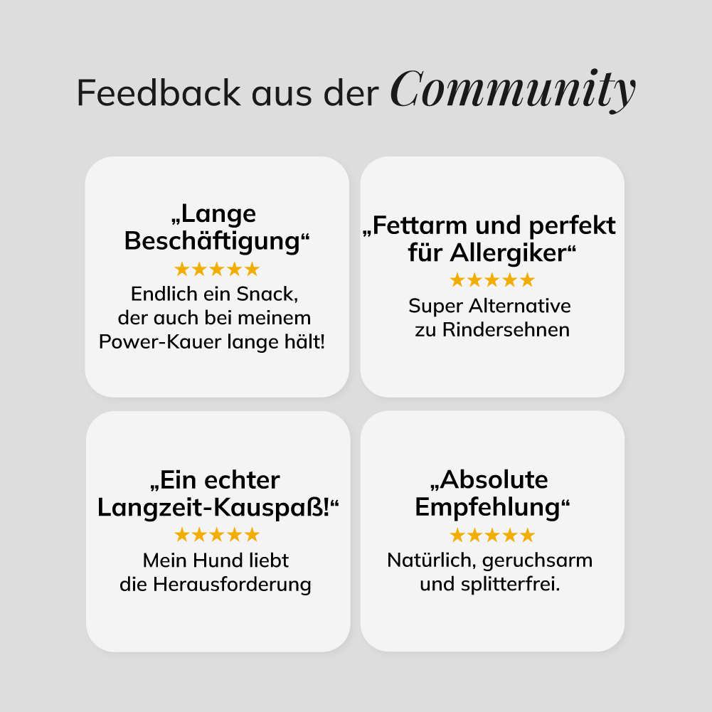 Straußen-Langsehnen, 3 Stück