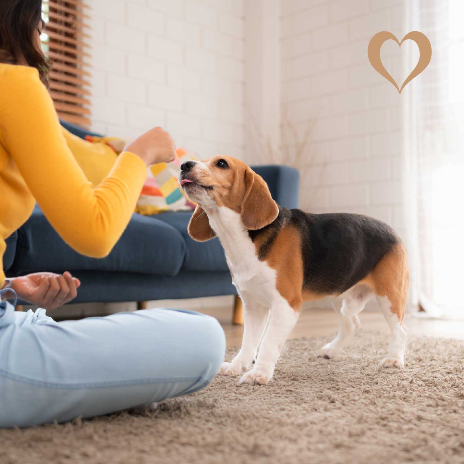 Mini-Würfel Dorsch, 500g