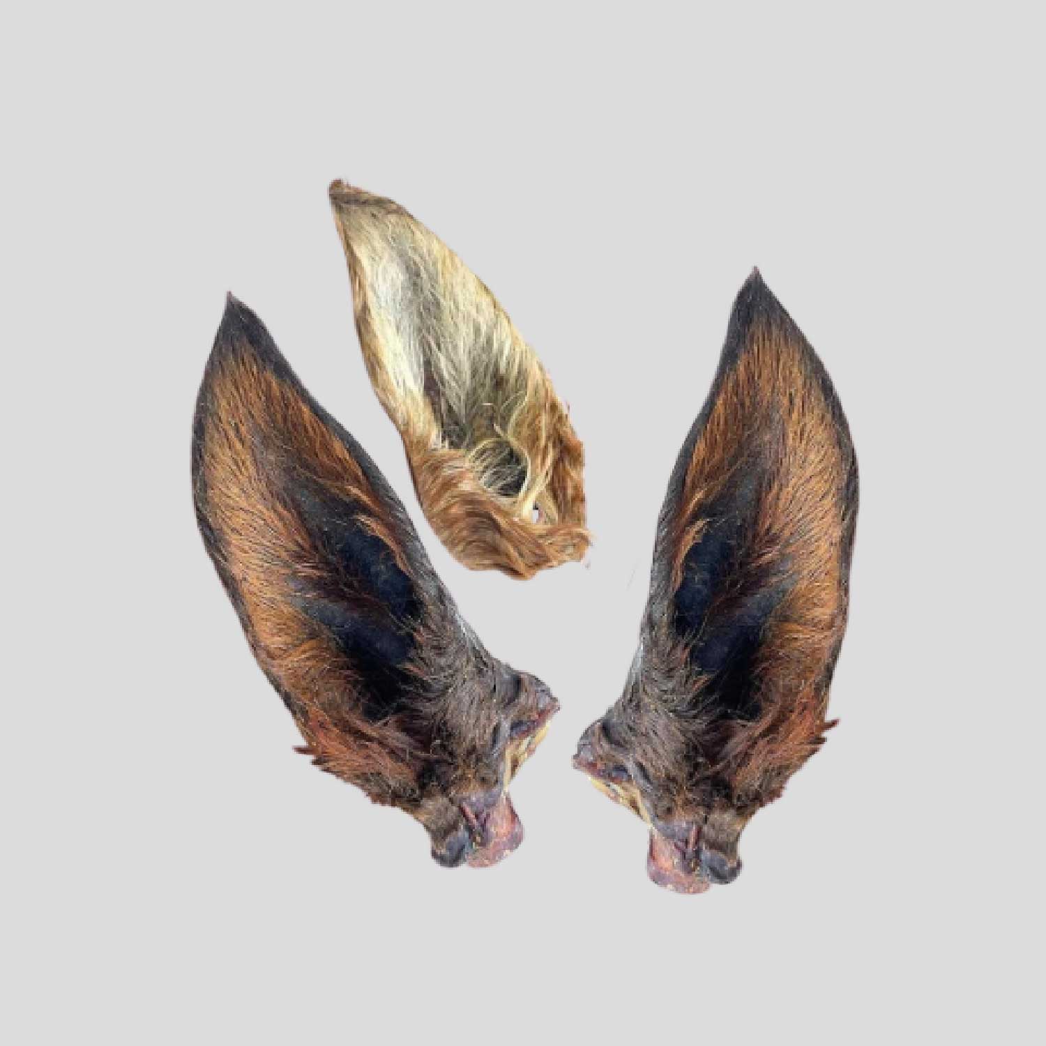 Pferdeohren mit Fell, 5 Stück