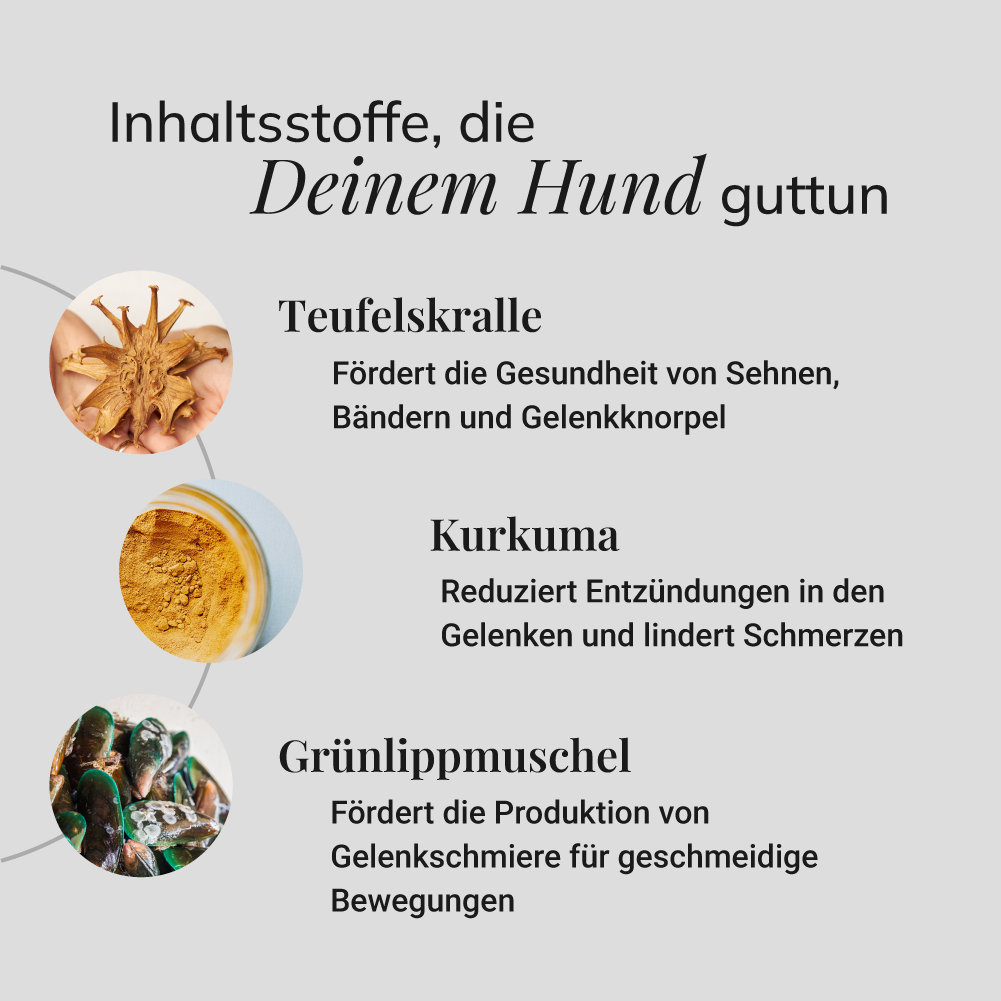 Gelenkpulver, 275g