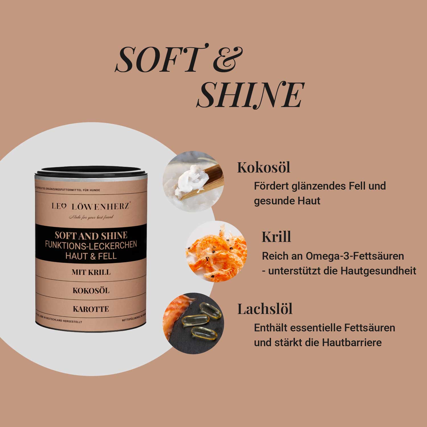 Rundum-Sorglos-Paket đ€