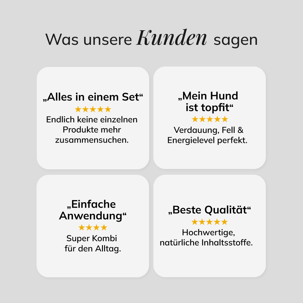 Rundum-Sorglos-Paket đ€