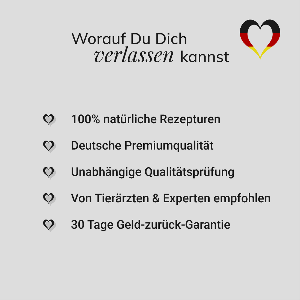 Rundum-Sorglos-Paket đ€