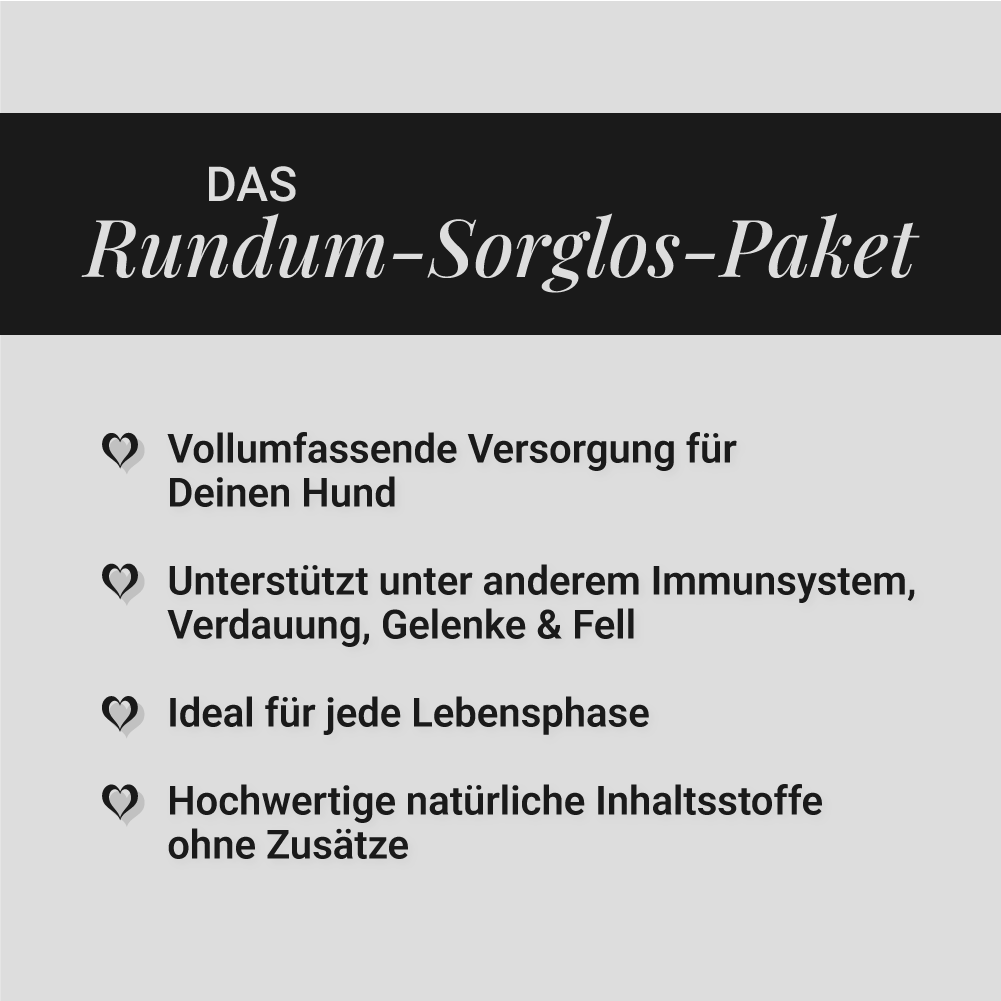 Rundum-Sorglos-Paket 🤎
