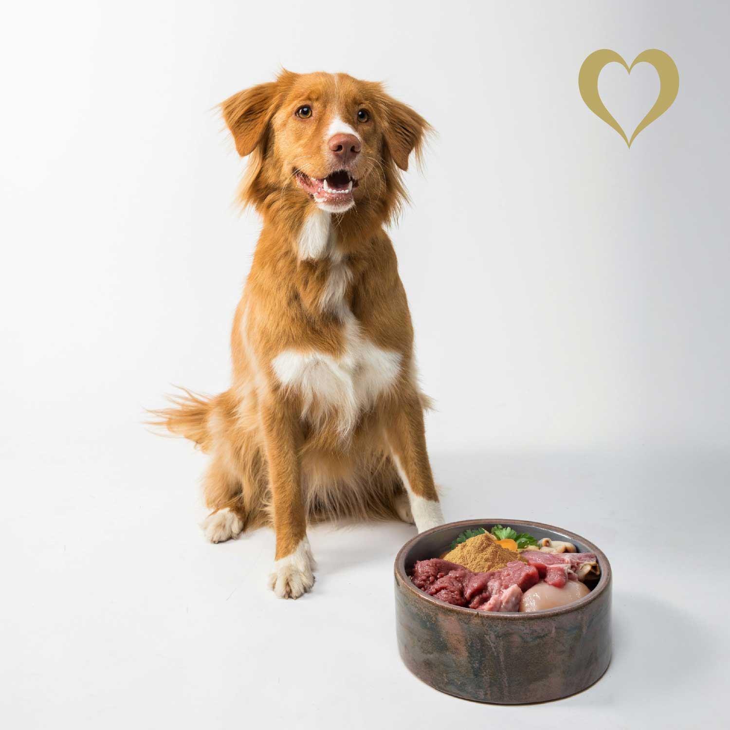 Vital & BARF Complete Set