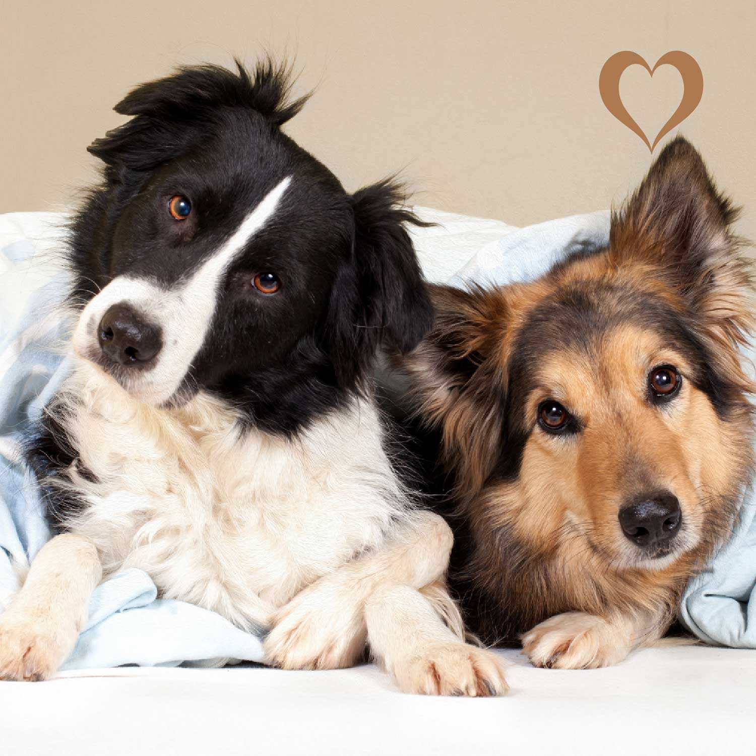 Hühnerfleisch Sticks, 500g