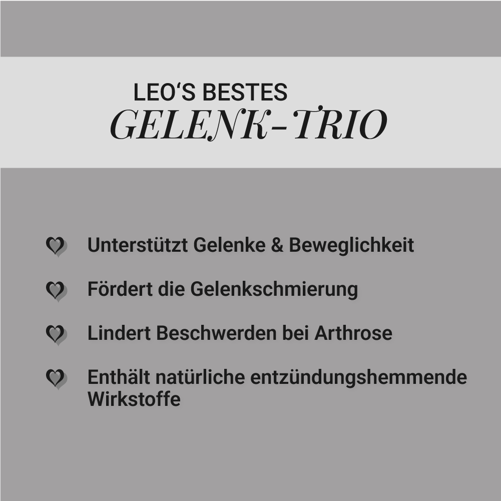 Gelenk-Trio