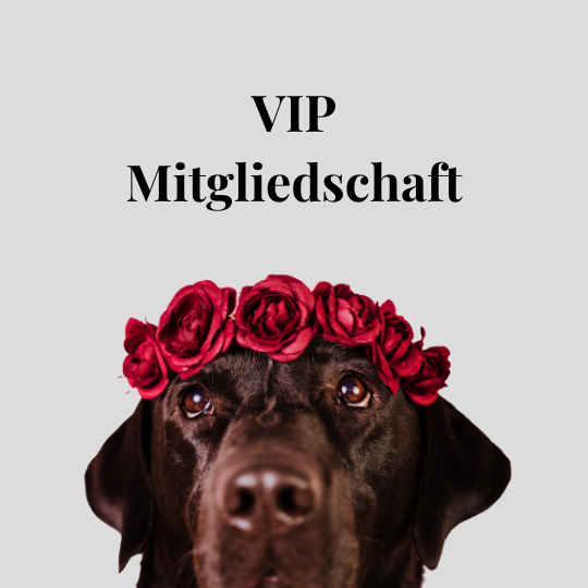 VIP Mitgliedschaft 👑