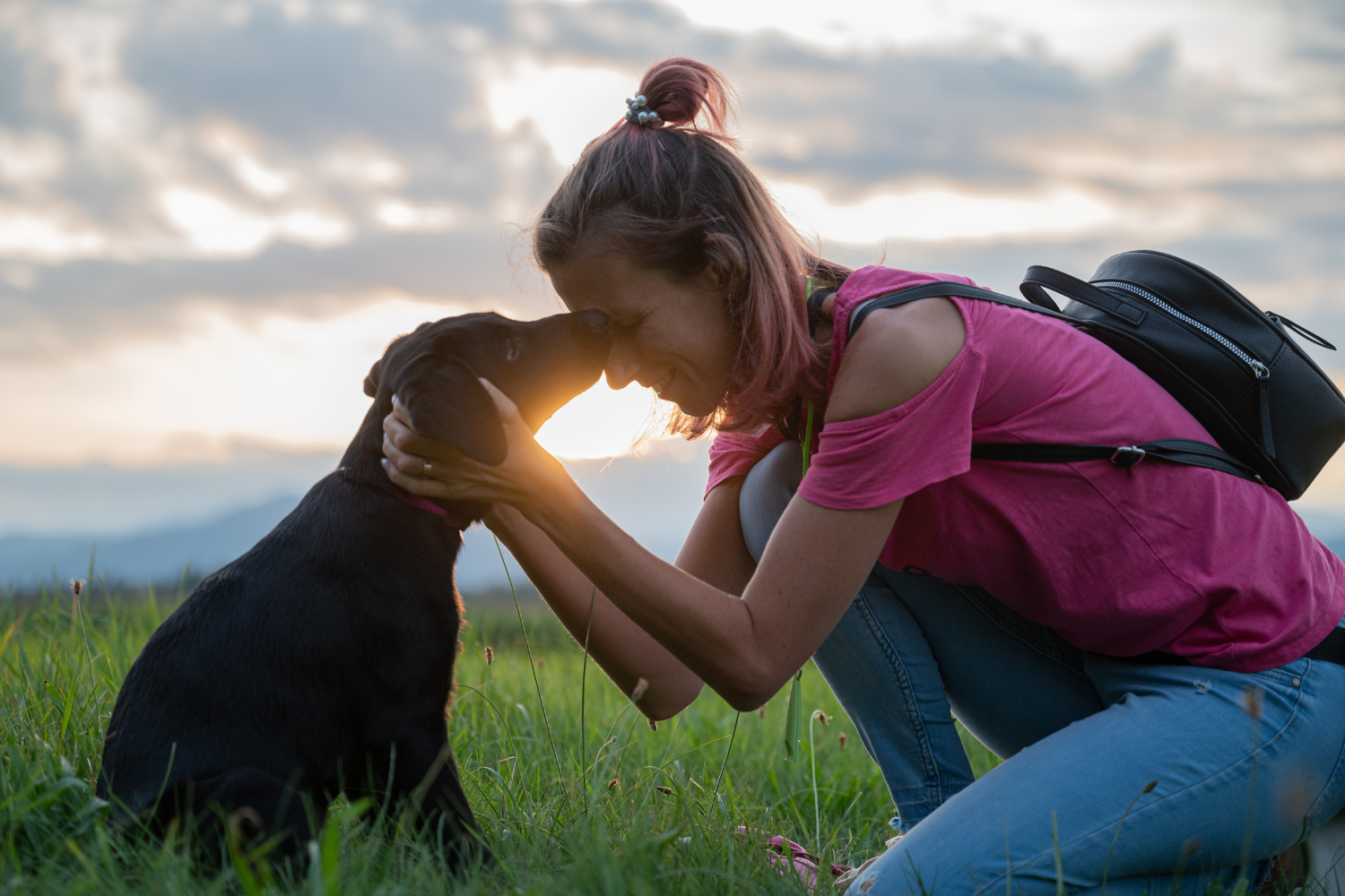 5 Zeichen, dass Dein Hund Dir vertraut - So erkennst Du die tiefe Bindung zwischen Euch