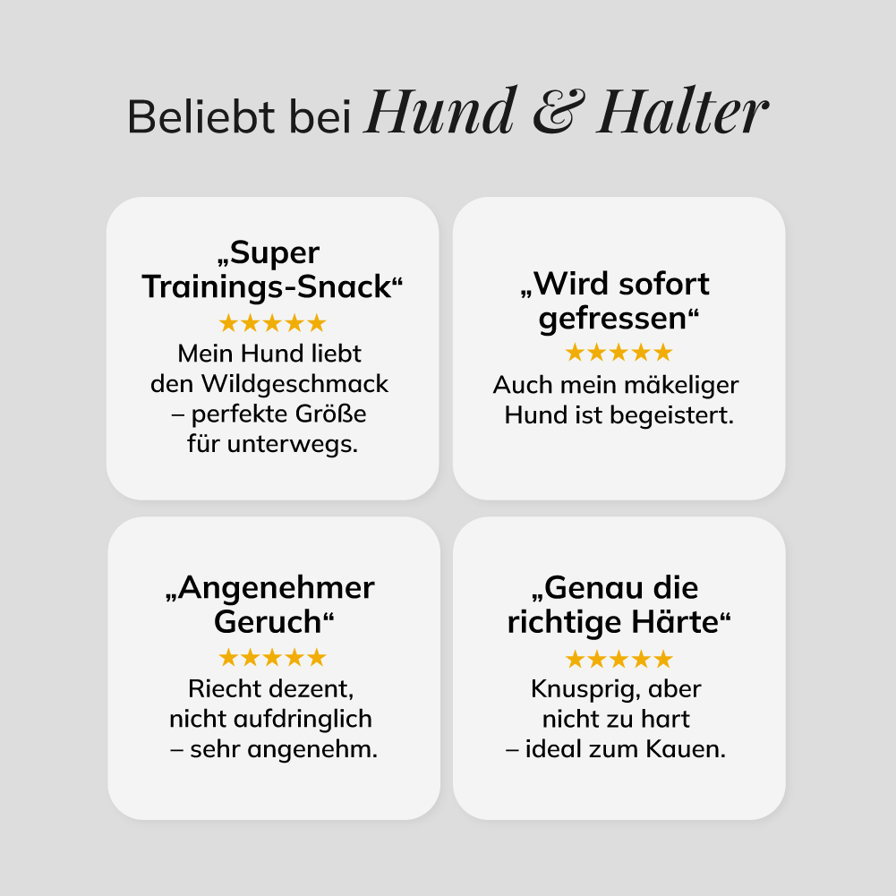 Mini-Würfel Wildschwein, 500g