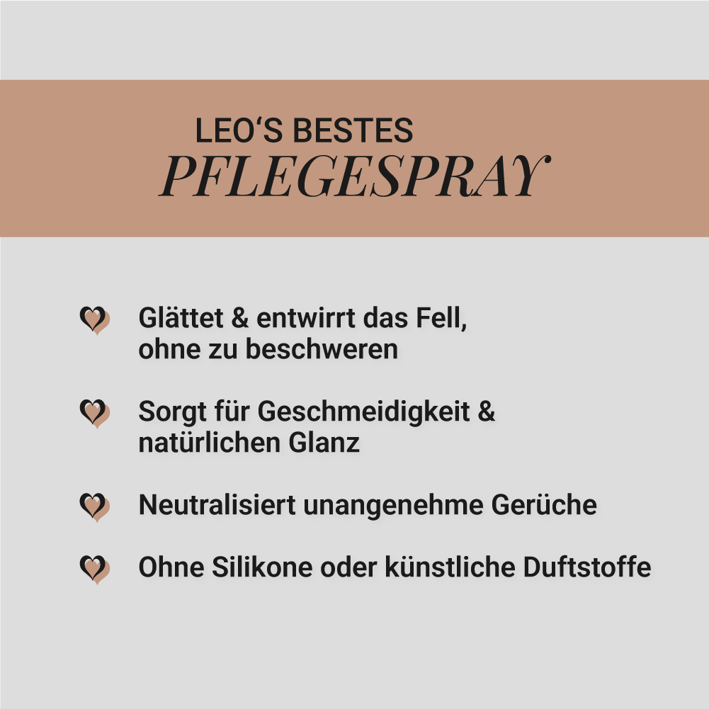 Pflegespray, 100ml