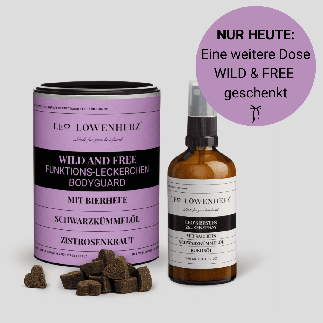 Abwehr-Set