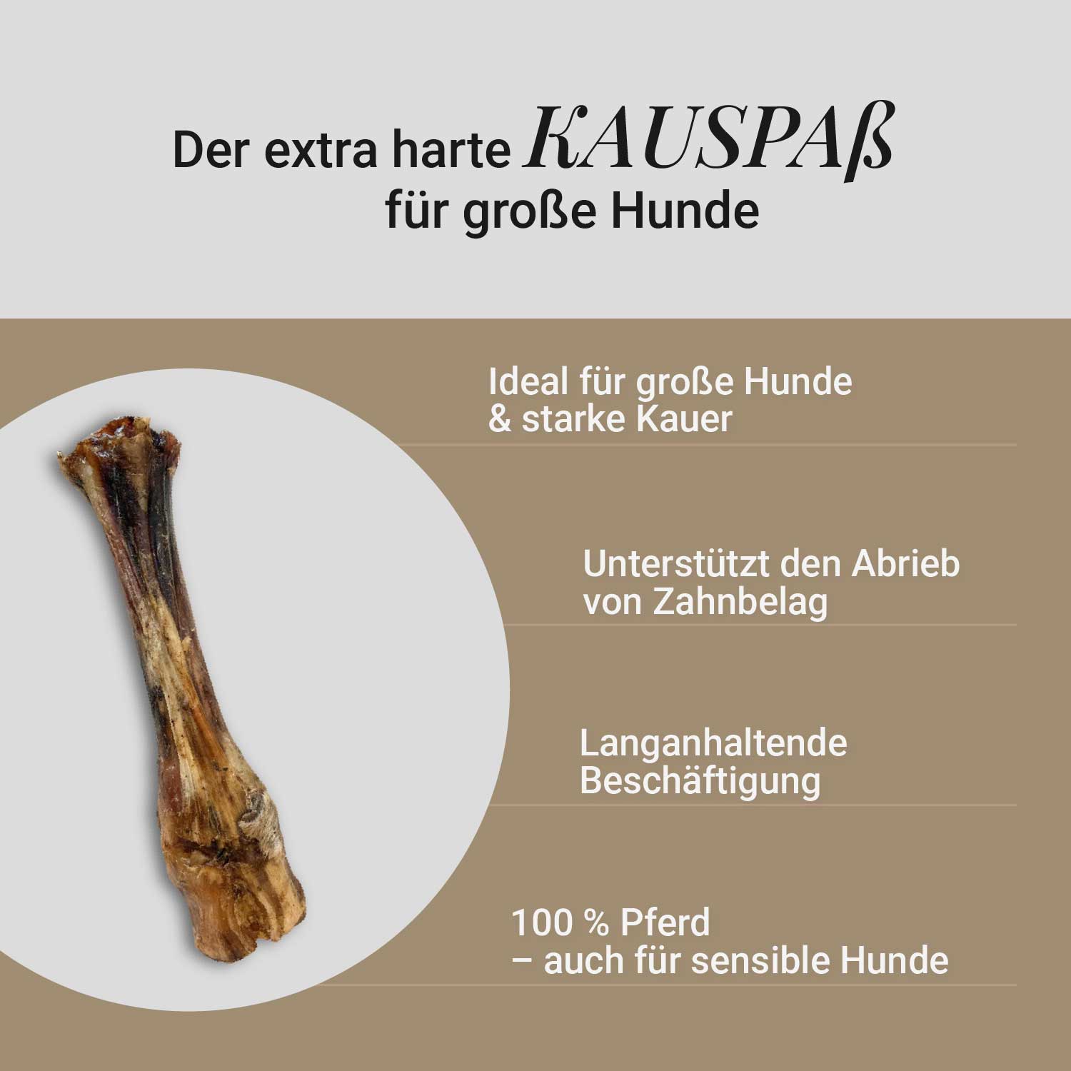 Pferdeunterbein